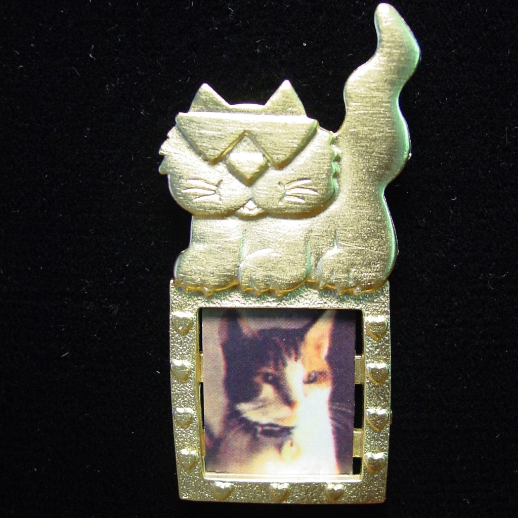 ‘Cool Cat Picture Frame' Pin Brooch